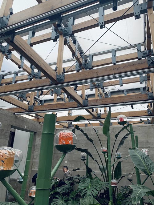 上?？Х戎?百年皂廠變身白七咖啡廳,給城市留下溫暖記憶